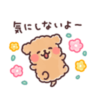 ふわもこトイプードル おおらかにいこう（個別スタンプ：1）