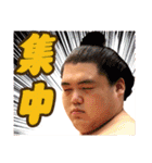 第2弾【公式】お相撲さんスタンプ（個別スタンプ：3）