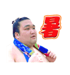 第2弾【公式】お相撲さんスタンプ（個別スタンプ：5）
