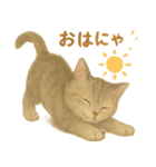 ねこもちの日常（個別スタンプ：1）
