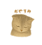ねこもちの日常（個別スタンプ：4）