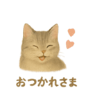 ねこもちの日常（個別スタンプ：5）