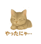 ねこもちの日常（個別スタンプ：6）