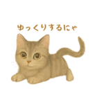ねこもちの日常（個別スタンプ：7）