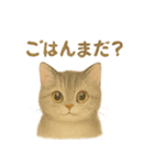 ねこもちの日常（個別スタンプ：8）