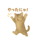 ねこもちの日常（個別スタンプ：9）