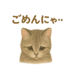 ねこもちの日常（個別スタンプ：10）