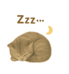 ねこもちの日常（個別スタンプ：12）