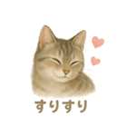 ねこもちの日常（個別スタンプ：14）