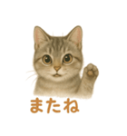 ねこもちの日常（個別スタンプ：15）