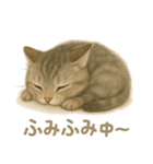 ねこもちの日常（個別スタンプ：16）