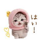 スコティッシュ猫 毎日送れる 日常 敬語（個別スタンプ：3）