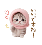 スコティッシュ猫 毎日送れる 日常 敬語（個別スタンプ：4）