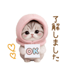 スコティッシュ猫 毎日送れる 日常 敬語（個別スタンプ：5）