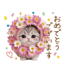 スコティッシュ猫 毎日送れる 日常 敬語（個別スタンプ：6）