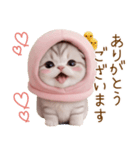 スコティッシュ猫 毎日送れる 日常 敬語（個別スタンプ：7）