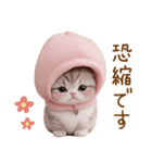 スコティッシュ猫 毎日送れる 日常 敬語（個別スタンプ：8）