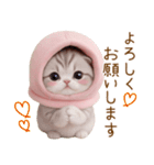 スコティッシュ猫 毎日送れる 日常 敬語（個別スタンプ：9）