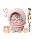 スコティッシュ猫 毎日送れる 日常 敬語（個別スタンプ：10）