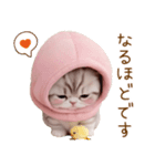 スコティッシュ猫 毎日送れる 日常 敬語（個別スタンプ：12）