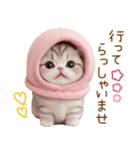 スコティッシュ猫 毎日送れる 日常 敬語（個別スタンプ：15）