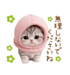 スコティッシュ猫 毎日送れる 日常 敬語（個別スタンプ：18）