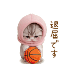 スコティッシュ猫 毎日送れる 日常 敬語（個別スタンプ：20）