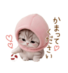 スコティッシュ猫 毎日送れる 日常 敬語（個別スタンプ：22）