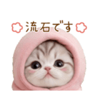 スコティッシュ猫 毎日送れる 日常 敬語（個別スタンプ：26）