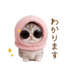スコティッシュ猫 毎日送れる 日常 敬語（個別スタンプ：27）