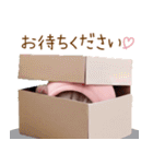 スコティッシュ猫 毎日送れる 日常 敬語（個別スタンプ：28）