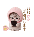 スコティッシュ猫 毎日送れる 日常 敬語（個別スタンプ：29）