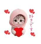 スコティッシュ猫 毎日送れる 日常 敬語（個別スタンプ：30）