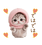 スコティッシュ猫 毎日送れる 日常 敬語（個別スタンプ：31）