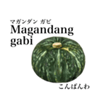 国産かぼちゃ 【タガログ語】（個別スタンプ：2）