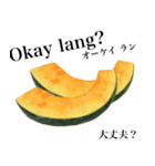 国産かぼちゃ 【タガログ語】（個別スタンプ：4）