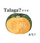 国産かぼちゃ 【タガログ語】（個別スタンプ：5）