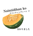 国産かぼちゃ 【タガログ語】（個別スタンプ：7）