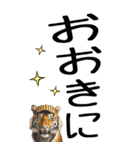 老眼でも見える虎【関西弁】（個別スタンプ：3）