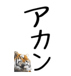 老眼でも見える虎【関西弁】（個別スタンプ：8）