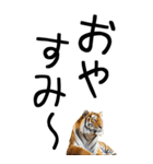 老眼でも見える虎【関西弁】（個別スタンプ：12）