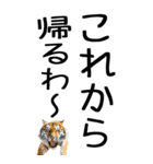 老眼でも見える虎【関西弁】（個別スタンプ：14）