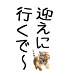 老眼でも見える虎【関西弁】（個別スタンプ：15）