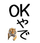 老眼でも見える虎【関西弁】（個別スタンプ：17）
