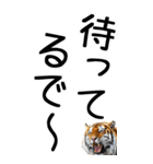 老眼でも見える虎【関西弁】（個別スタンプ：19）
