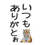 老眼でも見える虎【関西弁】（個別スタンプ：26）