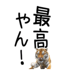 老眼でも見える虎【関西弁】（個別スタンプ：27）