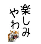 老眼でも見える虎【関西弁】（個別スタンプ：38）