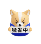 デカ動く 3D猛コーギー2 silent（個別スタンプ：7）