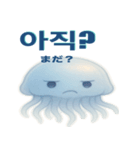 かわいいクラゲの日常使える韓国語スタンプ（個別スタンプ：19）